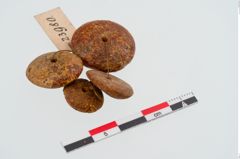 Foto von Perlenkette (NHMW-PRAE-023980)